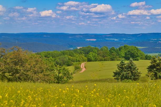 istock Green landscape view with the lush Thuringian forest background, Germany 1454561465