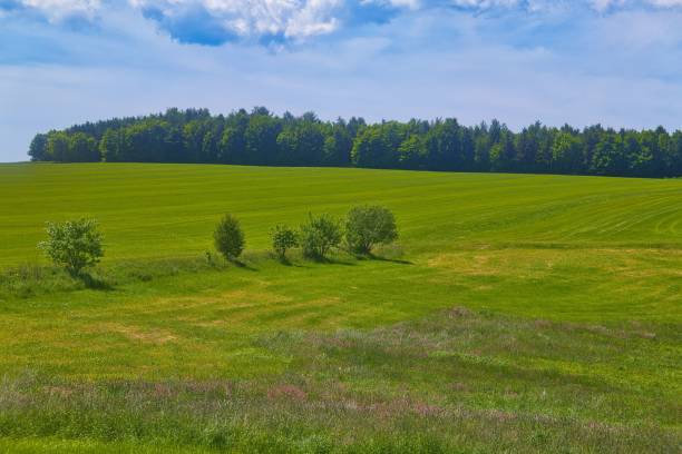 istock Green landscape view with the lush Thuringian forest view, Germany 1454561471