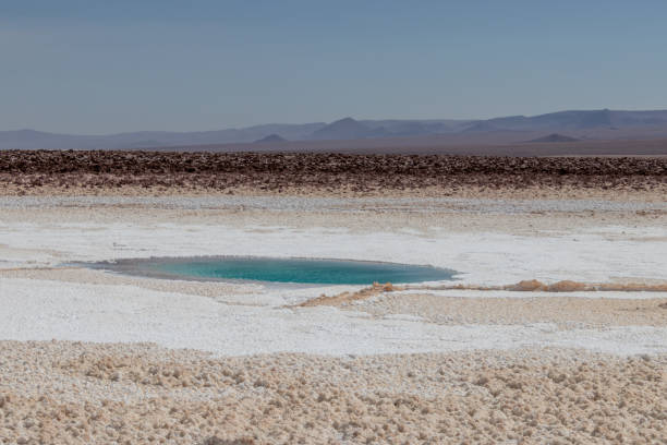 istock Baltinache Salty Lagoon Atacama Desert Chile 1454565324