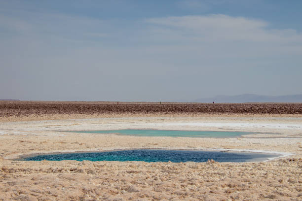 istock Baltinache Salty Lagoon Atacama Desert Chile 1454565340