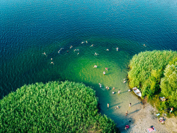 vista aérea de una pequeña playa escondida rodeada de vegetación. - masuren fotografías e imágenes de stock