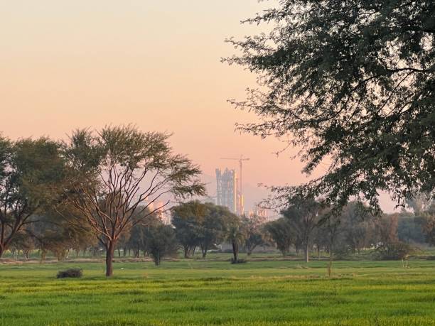 istock Landscape view of nature 1454568773