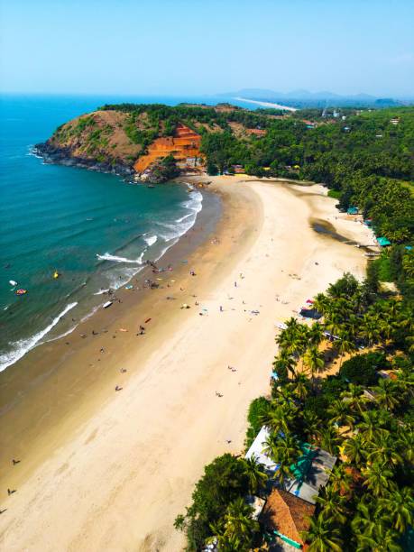 istock Vertical drone shot of a beach covered with lush greenery 1454570218
