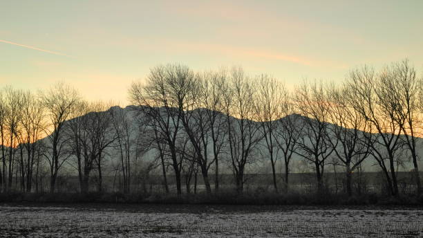 istock Field covered with snow, trees and mountains in background 1454576950