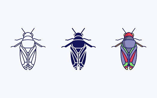 Cicadidae vector illustration icon