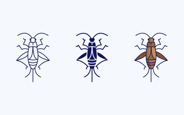 illustrations, cliparts, dessins animés et icônes de icône d’illustration du vecteur bug de cricket - grillon insecte