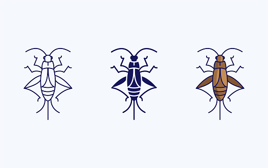 Cricket bug vector illustration icon