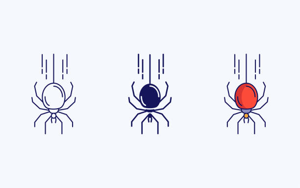 значок векторной иллюстрации паука - silhouette spider tarantula backgrounds stock illustrations