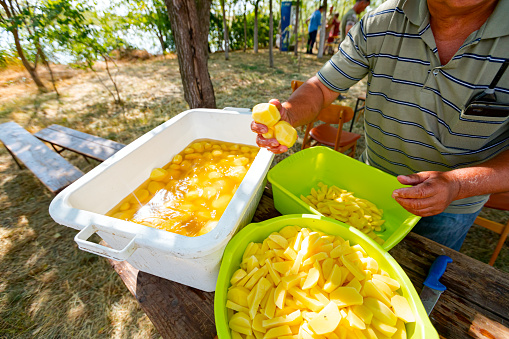 Plastic bowl full of cut young potatoes. Elderly farmer holding in his hands peeled washed raw vegetables over white bowl with water. Outdoor preparing food