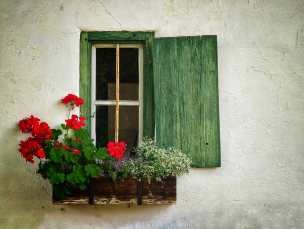 Fenêtre avec des fleurs - Photo