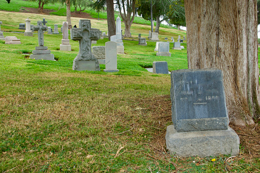 Tranquil cemetery on a hillside with leafy green trees and vintage tombstones