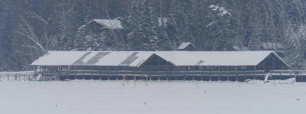 istock Winter in the Russian countryside 1454580540