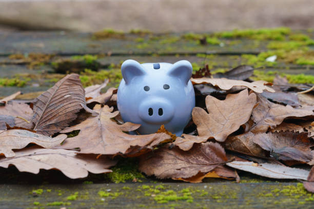 istock Piggy bank 1454581609