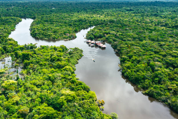 istock Aerial view of Amazon Rainforest in Peru. 1454581645