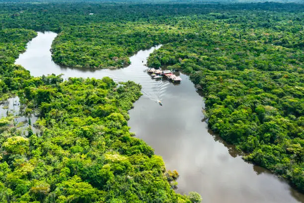 Aerial view of Amazon rainforest in Peru, South America. Green forest. Bird's-eye view. Jungle in Peru.