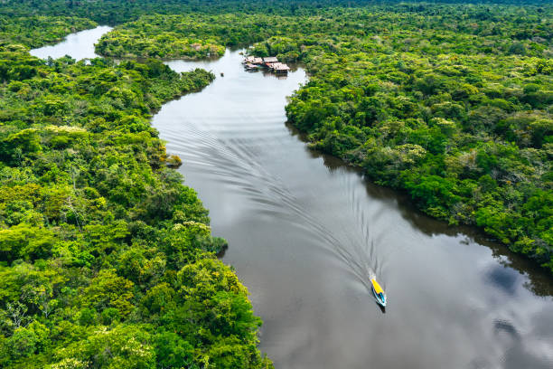 vista aerea della foresta pluviale amazzonica in perù. - iquitos foto e immagini stock