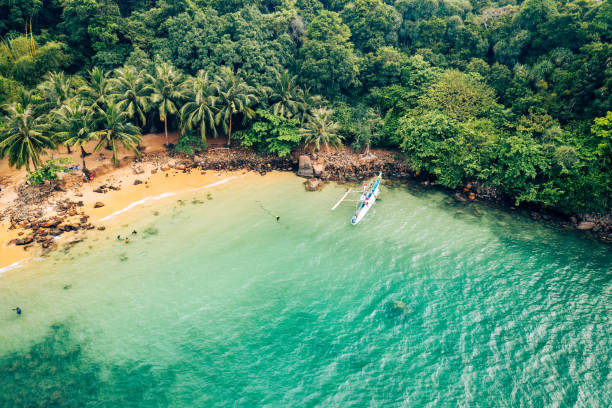istock Tropical Jungle Coast in Sri Lanka Aerial View. 1454582288