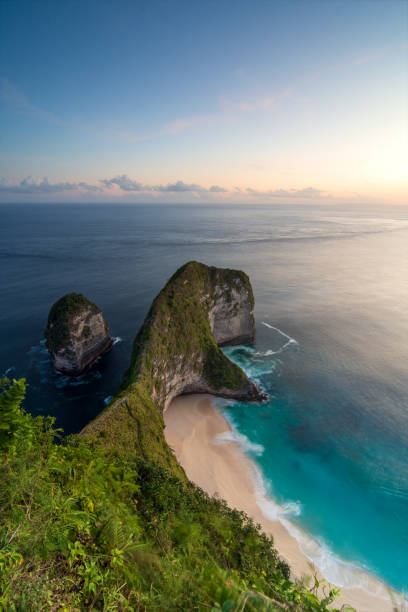 istock The Dinosaur, The Legendary Tyrannosaurus Rex Shape Beach 1454583741