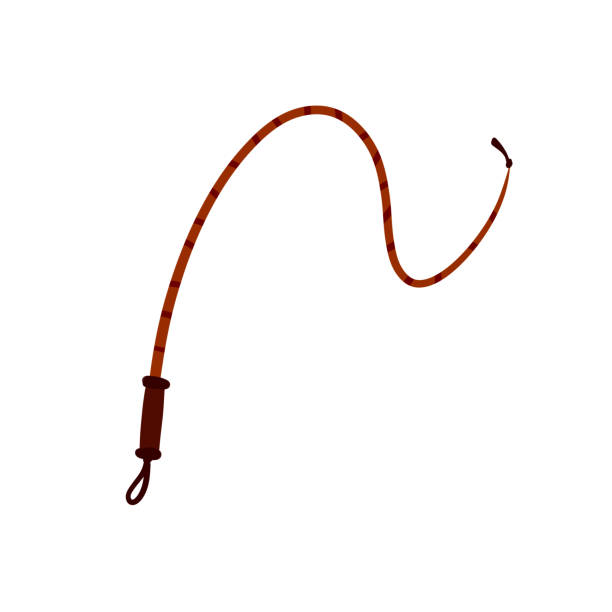 ilustrações de stock, clip art, desenhos animados e ícones de whip for training an animal. long cord. horsewhip of wild west. flat cartoon. concept of slavery, submission and domination - bullwhip