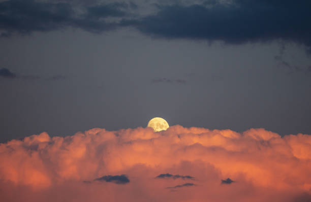 The Moon is Earth's only natural satellite. It is the fifth largest satellite in the Solar System and the largest and most massive relative to its parent plane