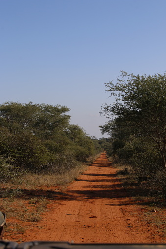 An outdoor daytime rural landscape nature image of a red single lane dirt road in a remote location in Limpopo Province, South Africa.