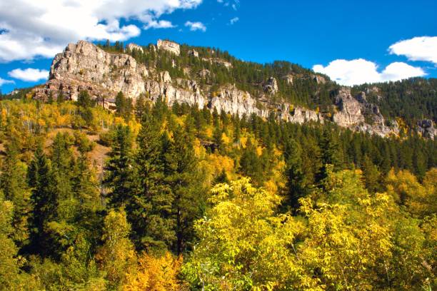 istock Green forest near the cliff on a sunny day 1454592804