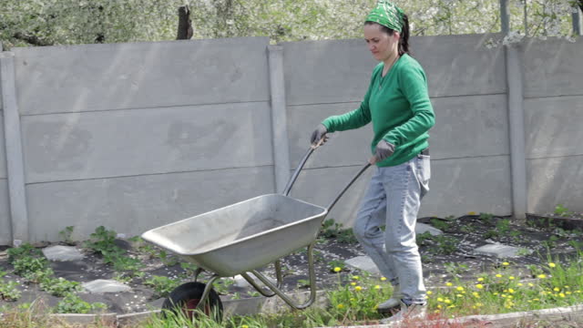 A female farm gardener fills a gray metal wheelbarrow with earth or compost. Seasonal garden cleaning before autumn outdoors in the backyard. A metal unicycle full of weeds and branches.