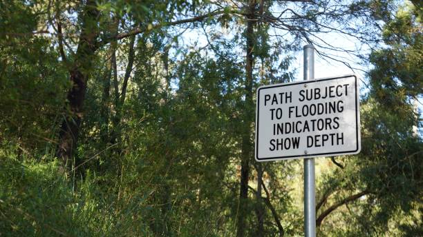istock Flood warning sign in background of dense trees 1454596905