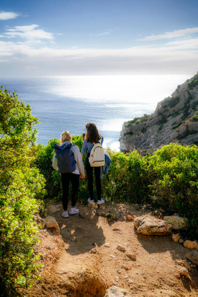 istock Friends reaching the tropical viewpoint 1454598956