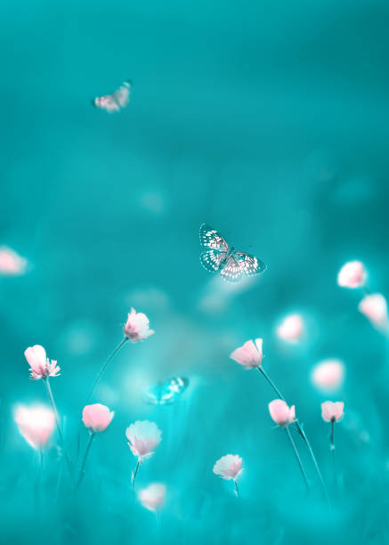 istock Spring summer background. Pink wild flowers and butterflies. 1454610301