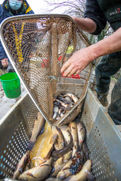 istock Pond fishing 1454619460