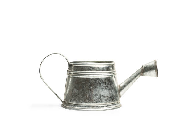 istock A galvanized steel watering can on a white background 1454619841