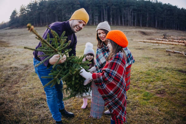 istock We've chosen the perfect Christmas tree! 1454619853
