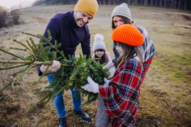 istock We've chosen the perfect Christmas tree! 1454619859