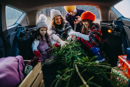 Family puts the Christmas tree in the trunk of the car