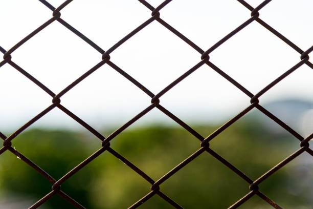 istock Silhouette wire mesh fence and blurred sky and tree background. 1454620327