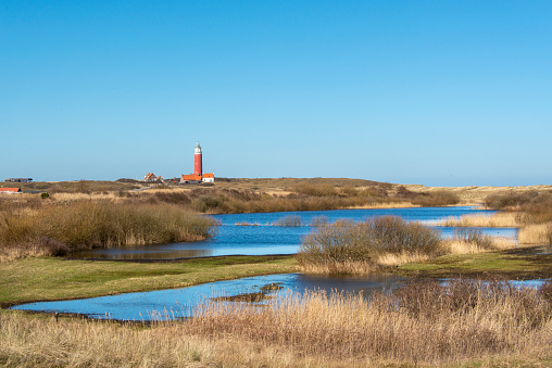 Marsh landscape on Texel. In the distance the famous red lighthouse.