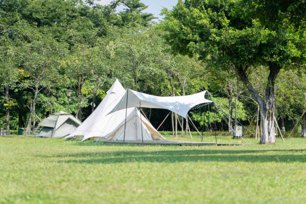 istock Camping tents in the park 1454622087