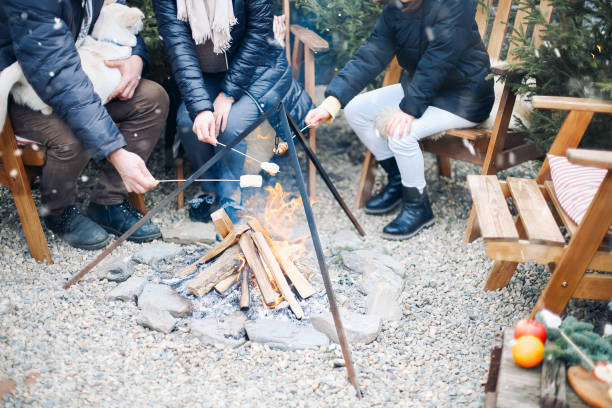 istock Friends in warm clothes roasting marshmallows on sticks and chatting while sitting around campfire 1454622834