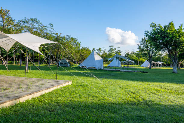 istock Camping tents in the park 1454626985