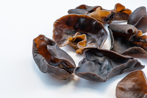 Wet black fungus, tree ear or wood ear mushroom on white background side view. Soaked dry auricularia polytricha also known as cloud ear, black mushroom, jelly fungus or cloud ear fungus