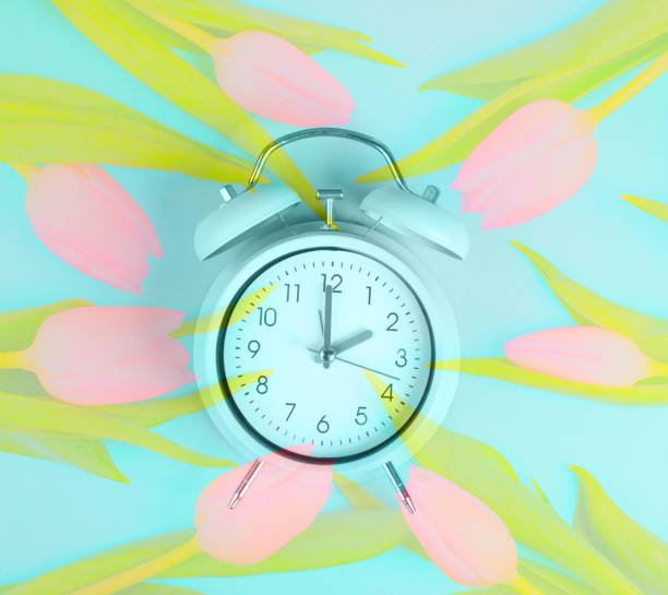 despertador con tulipanes, cambio al horario de verano en primavera, cambio de horario de verano - daylight savings fotografías e imágenes de stock