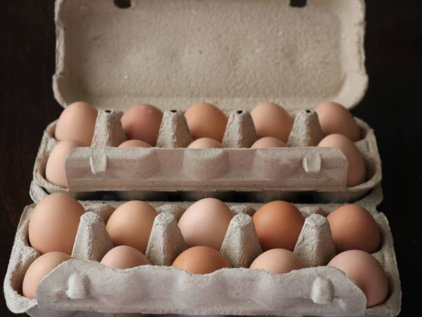 istock chicken eggs in cardboard containers of ten pieces 1454629216