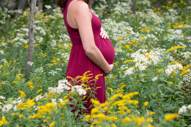 istock Pregnant Woman in Third Trimester 1454640458