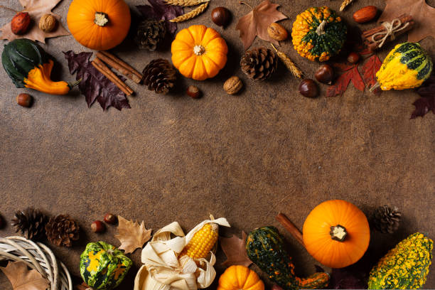 istock Autumn fall thanksgiving day composition with decorative pumpkins 1454642358