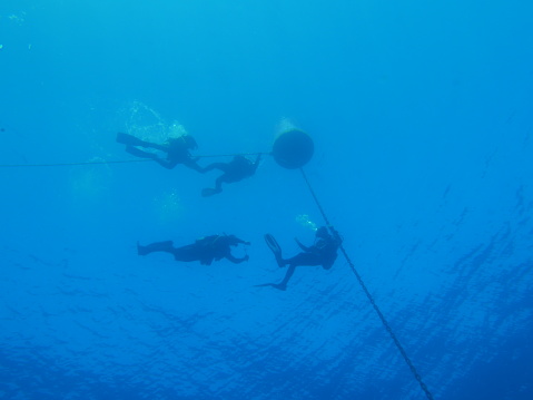 Scuba Diving in the Catalina Islands, Guanacoste, Costa Rica, Pacific Ocean.
