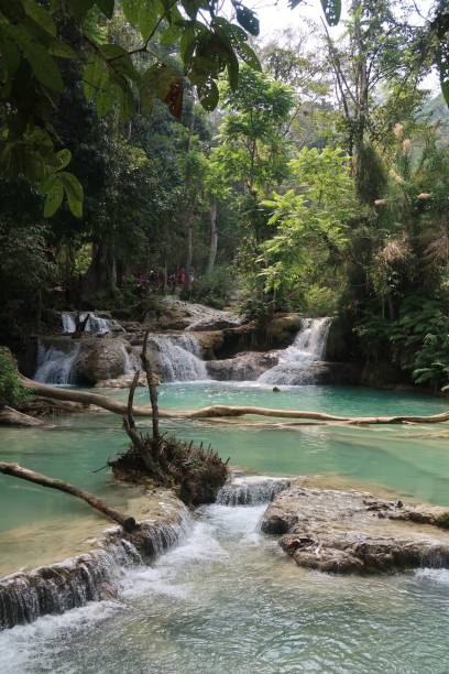 istock Waterfall pool at the Kuangsi Falls 1454643357