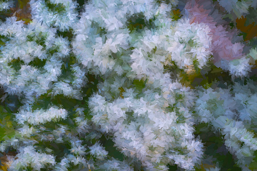 Organic abstract image of cherry blossom flower that has been heavily post processed in Lightroom and Topaz studios.