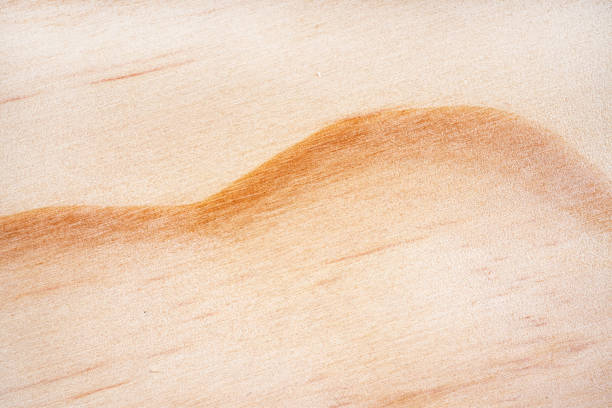 Beautiful wood grain. Wood background. Wood grain pattern texture backgrounds