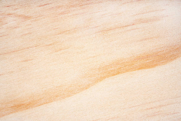 Beautiful wood grain. Wood background. Wood grain pattern texture backgrounds